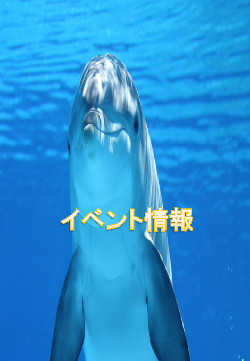 サンシャインマラソン2025交通規制情報のお知らせ！